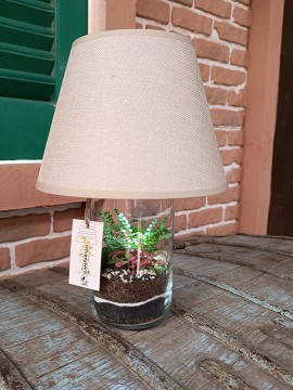 LAMPARIUM H. 37 L. 23 CM CON PIANTE VERDI