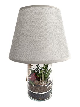 LAMPARIUM H. 37 L. 23 CM CON PIANTE VERDI