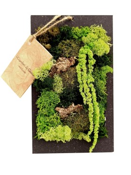 GIARDINO STABILIZZATO RETTANGOLARE MINI 14,5 H. 24,5 CM