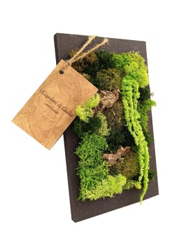 GIARDINO STABILIZZATO RETTANGOLARE MINI 14,5 H. 24,5 CM