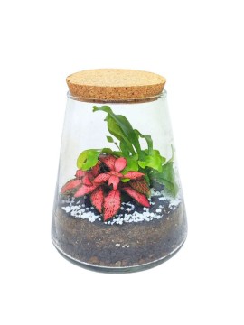 TERRARIUM 059 D. 16 H. 17 CM