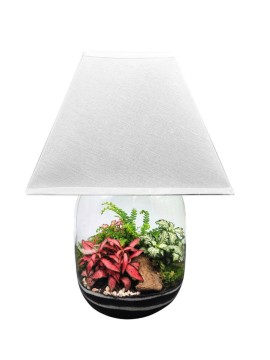 LAMPARIUM 03 D. 25 H. 40 CM CON PIANTE VERDI