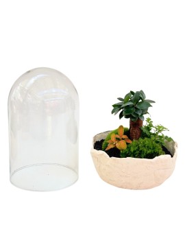 TERRARIUM CUPOLA GRANDE H. 31 CM D. 19.5 CM