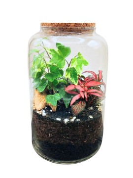 TERRARIUM 015 D. 12 H. 22 CM